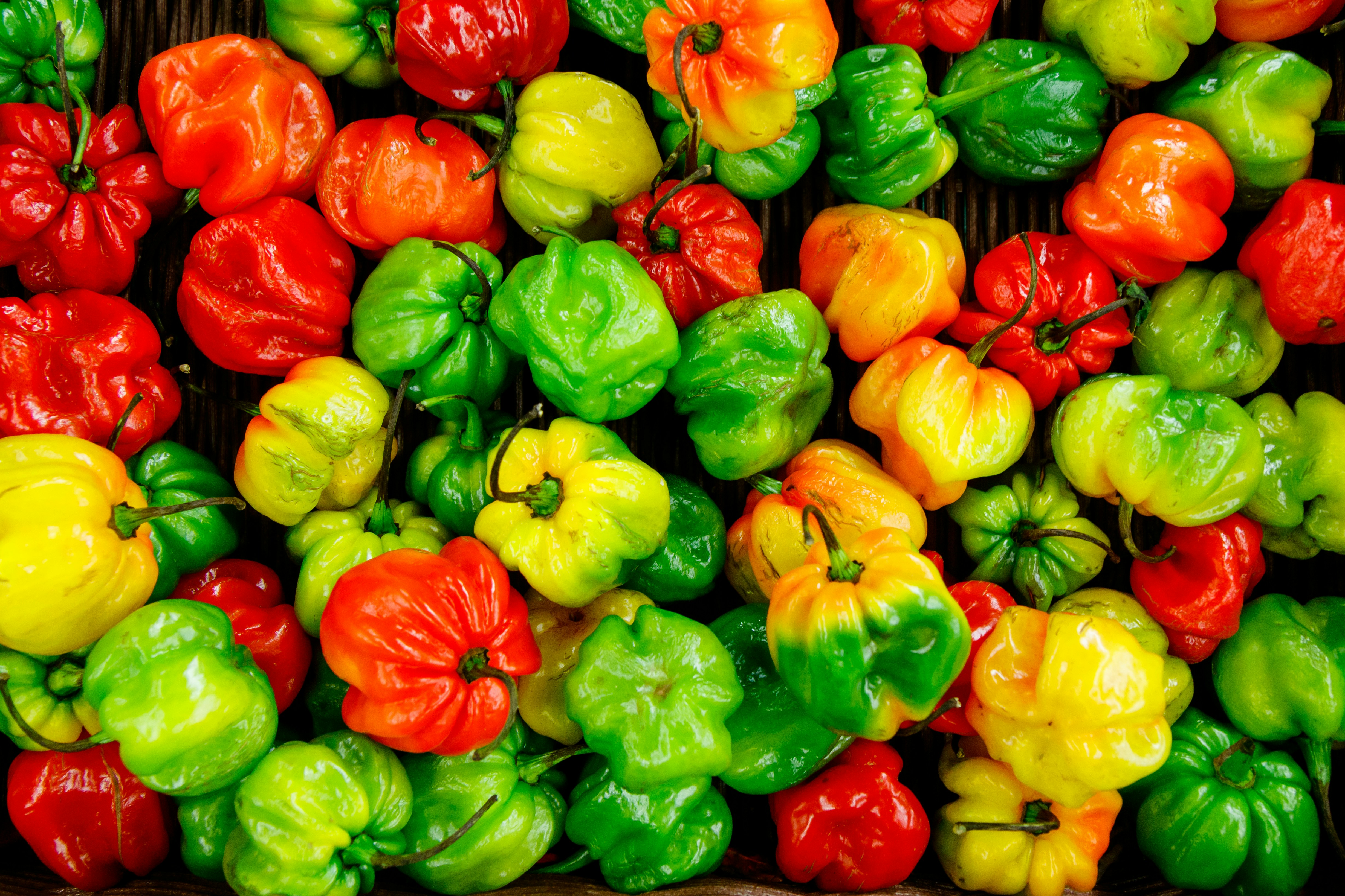Chile Habanero