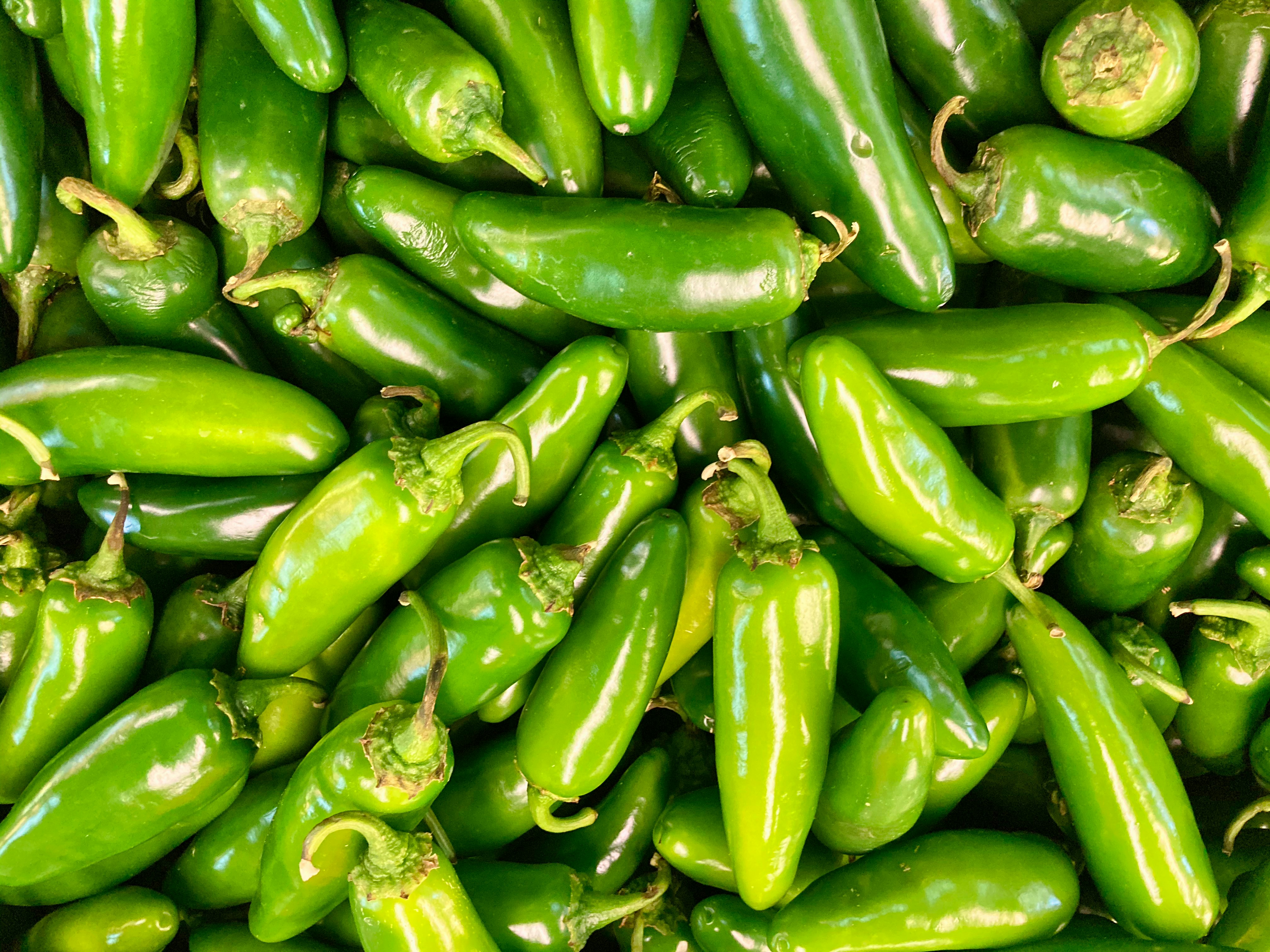 Chile Jalapeño